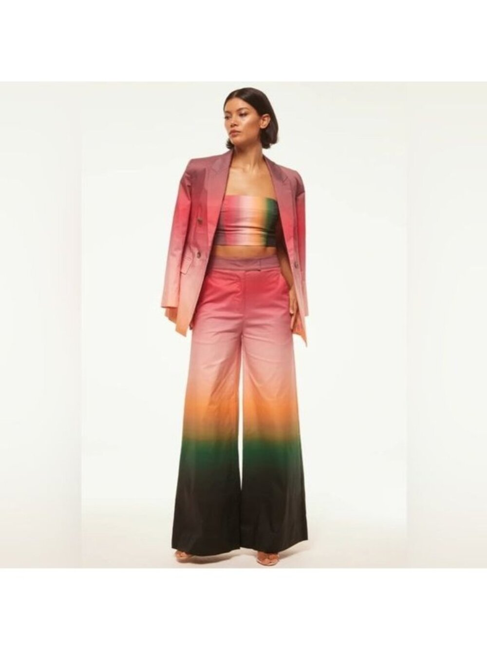 NWT MISA Los Angeles Nico Ombre High Rise Wide Leg Poplin Pants XS